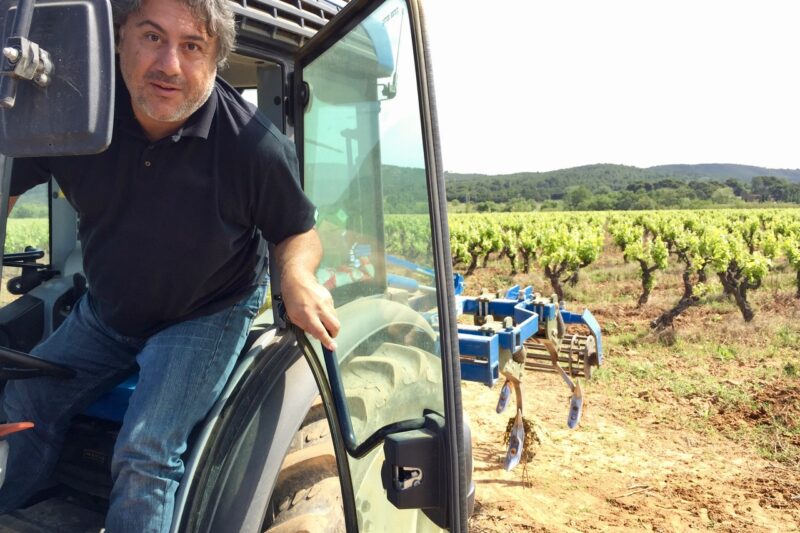 Memórias do Wine Hunter – Languedoc, uma benção no sul da França