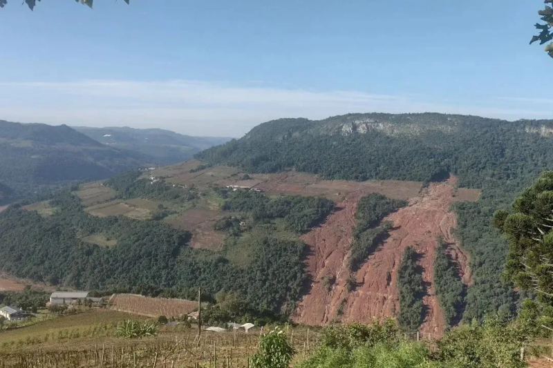 Chuvas destroem vinhedos no sul do Brasil