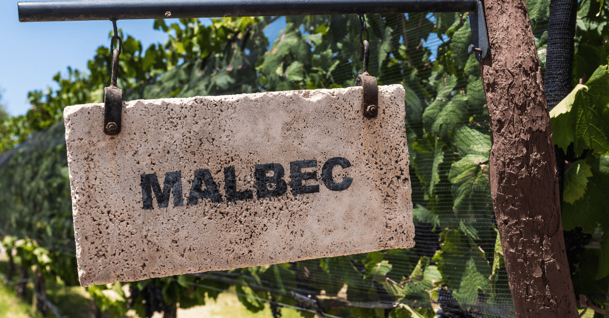 Placa de pedra com a palavra Malbec.