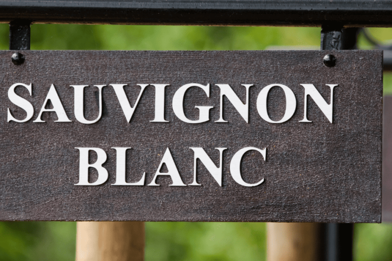 A popular e inconfundível Sauvignon Blanc