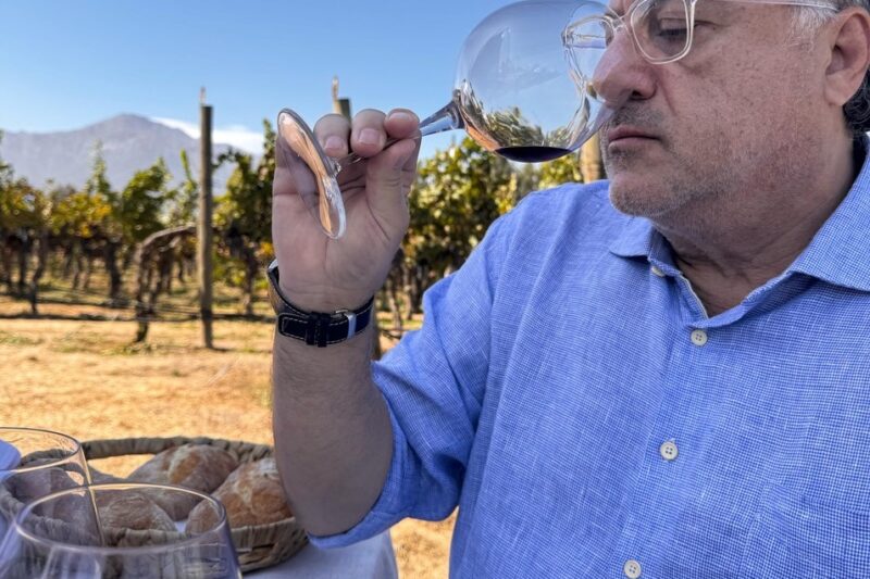 Memórias do Wine Hunter – Bate e volta no Chile 2025