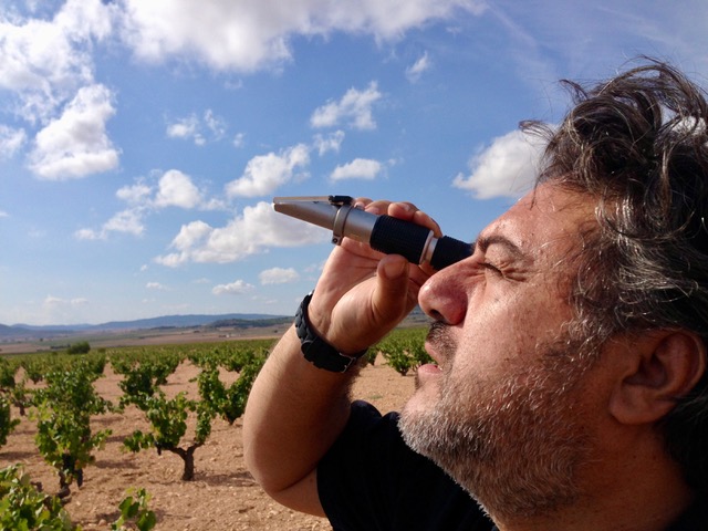 Memórias do Wine Hunter – Yecla, Espanha