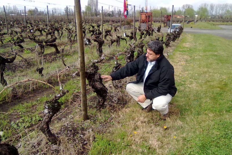 Memórias do Wine Hunter – Saia justa no Chile
