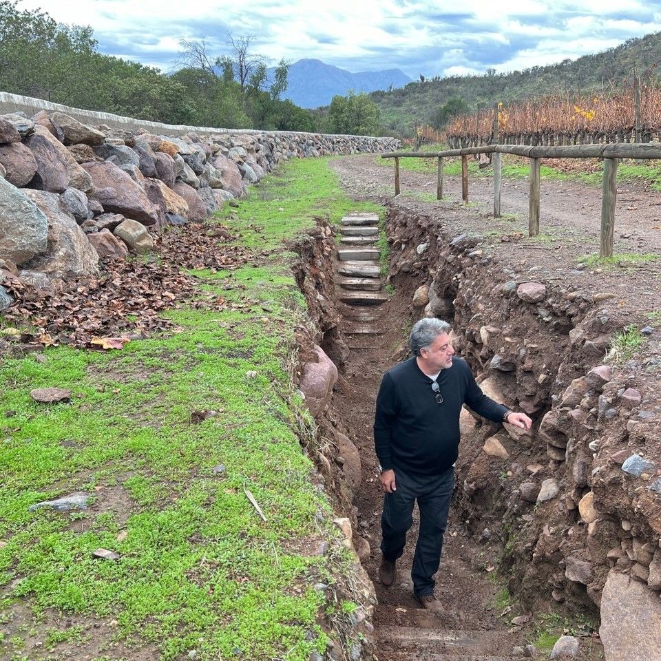 Vicente Jorge caminhando na Viña Seña.