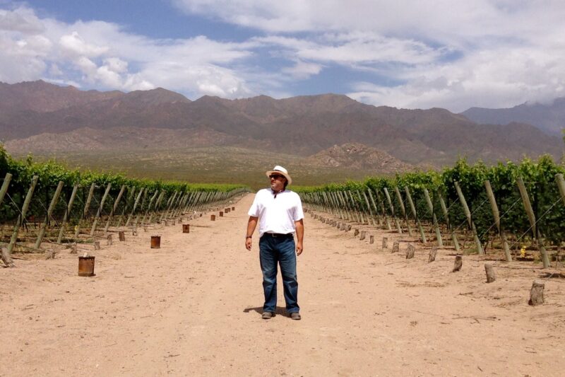 Memórias do Wine Hunter – Solos e vinhos