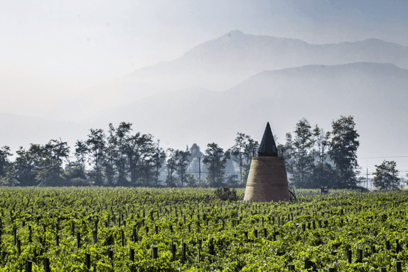 Piedra Sagrada, o reflexo de uma vida dedicada ao vinho