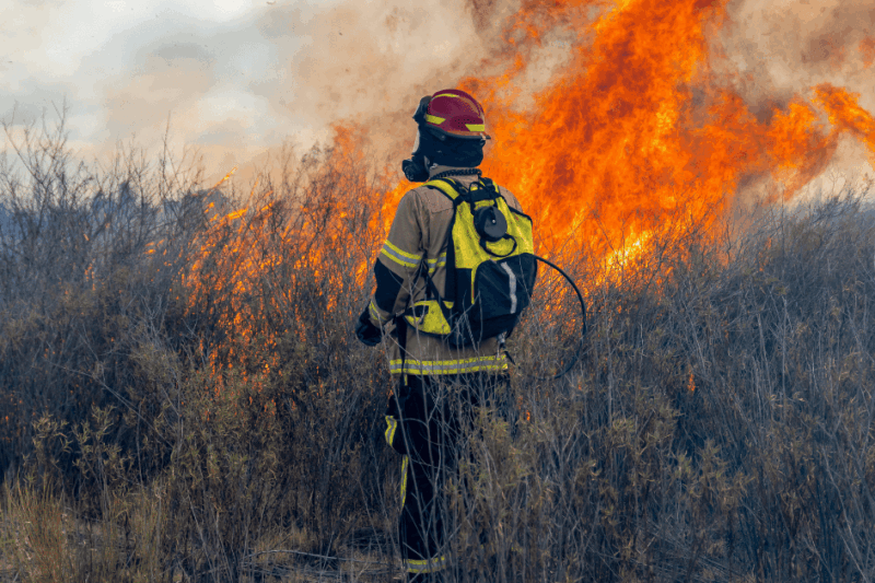 Safra 2025: incêndio ameaça produção de vinhos na França