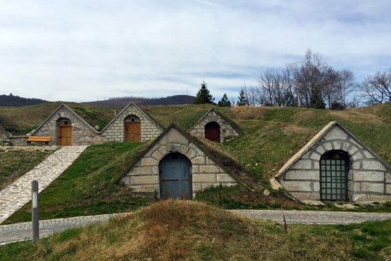 Memórias do Wine Hunter – Tokaji Aszú e o vinhos dos reis